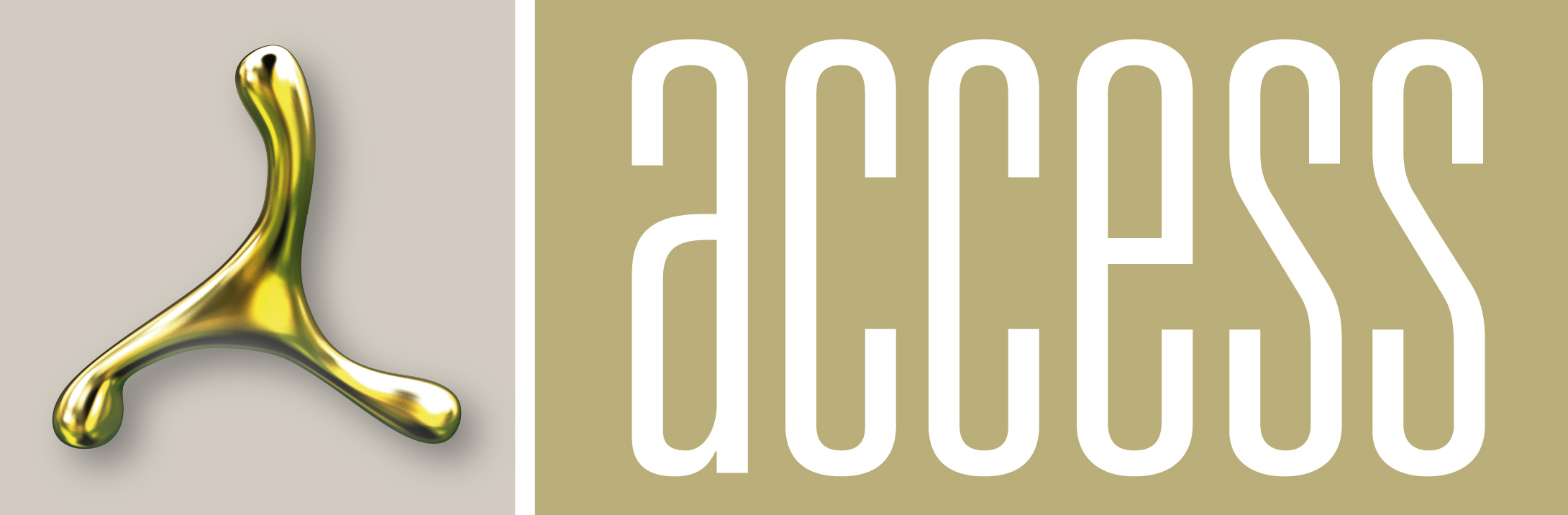 Access e.V. logo